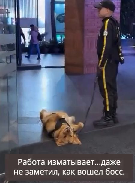 Сотрудник месяца⁠⁠