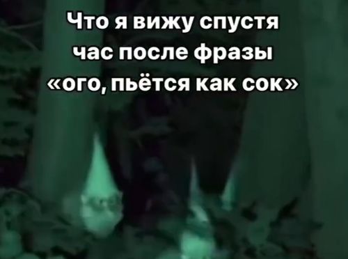 Аномалия восприятия окружающей действительности⁠⁠