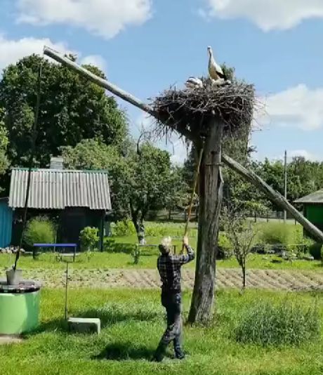 Душевно