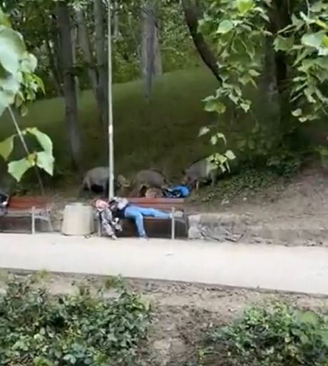Обстановка в Польше