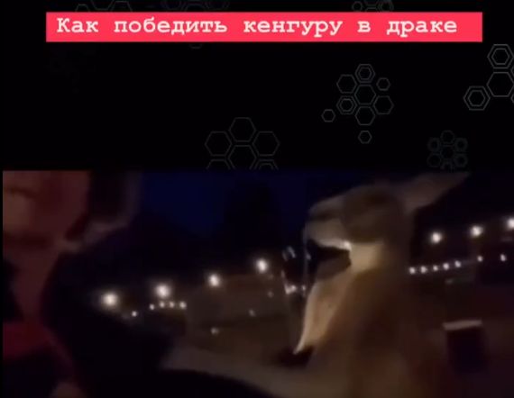 Бессмертный какой⁠⁠