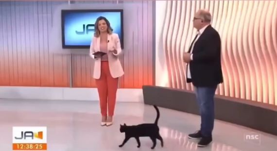 Надо успеть побывать везде