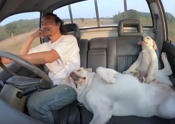 Лучшие друзья