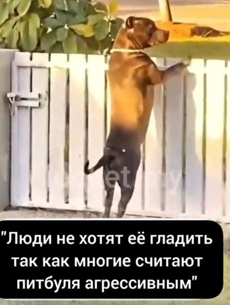 Добрая история