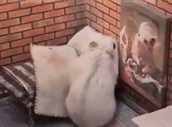 Залипательное кино
