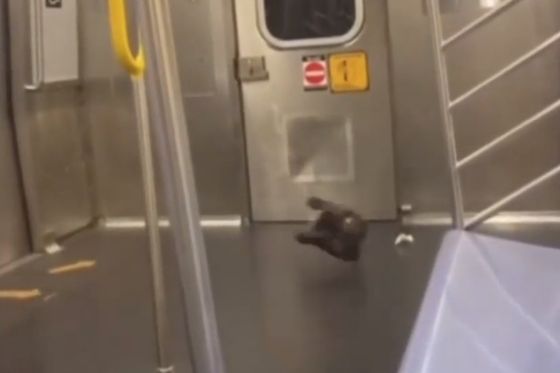 Внезапный балет в метро