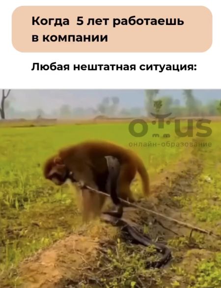 Опытный сотрудник⁠⁠