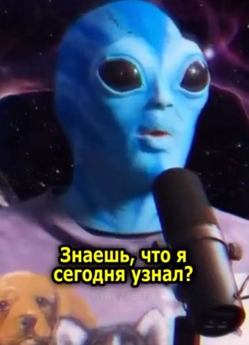 Даже планетянские придурки над нами угорают