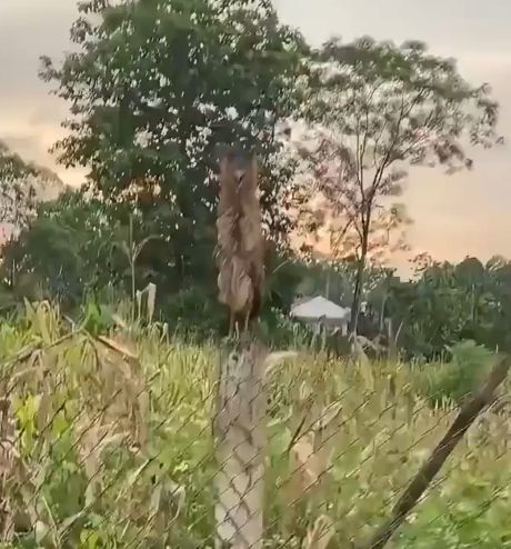 Не трожь! Я сам себя боюсь!⁠⁠
