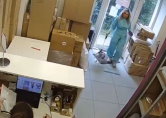 В Питере женщина пришла в ПВЗ с чайкой на поводке