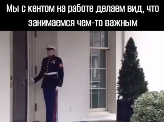 И так весь день!