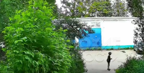 Школота на питбайке