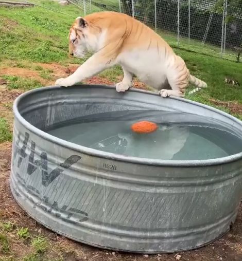 "Принять ванну, выпить чашечку кофе..."⁠⁠