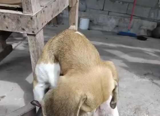 Чужих детей не бывает⁠⁠