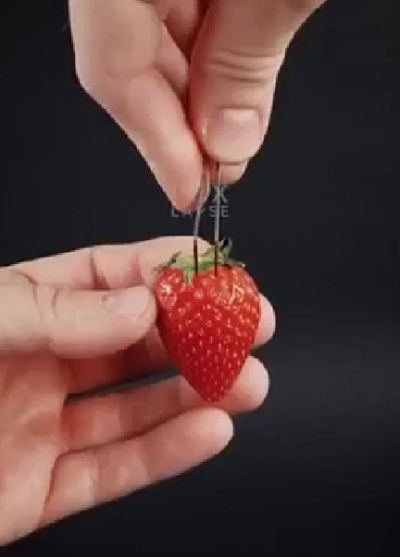 Магия растений⁠⁠