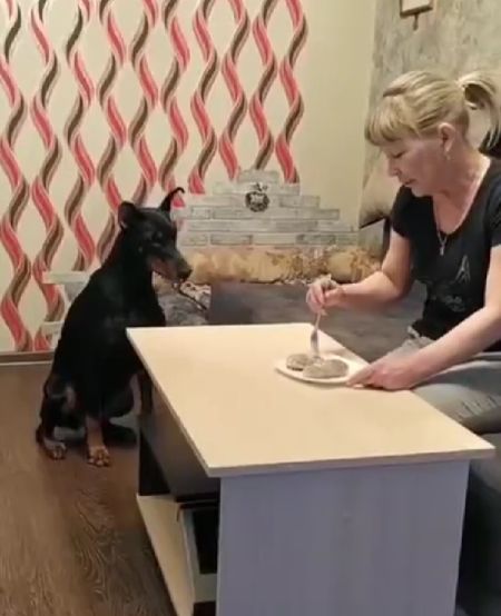 Ладно, давай по-честному поделим