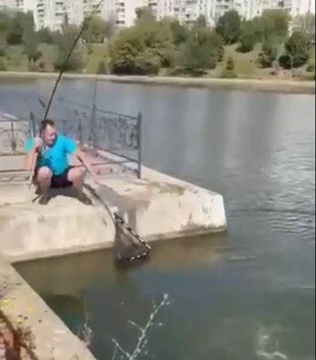 Огромный трофейный карп в городской черте