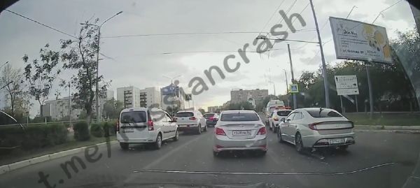Сучки крашеные
