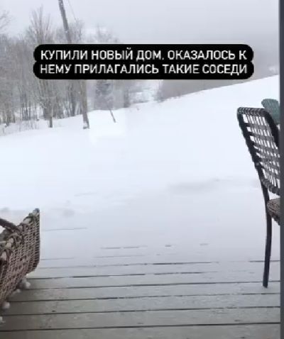 Соседи⁠⁠