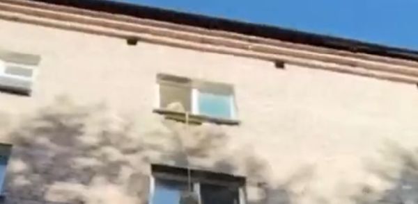 Спасение котенка в Томске