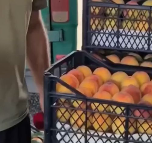 И персики созревают прямо на глазах⁠⁠