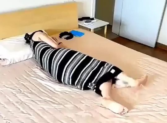 Спи, не обращай внимание⁠⁠