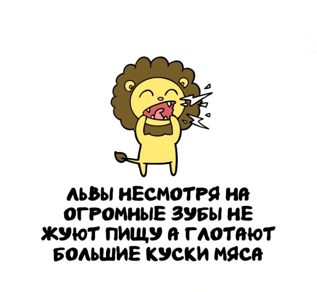 Интересные факты на все случаи жизни (15 фото)