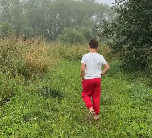 Лебедь⁠⁠