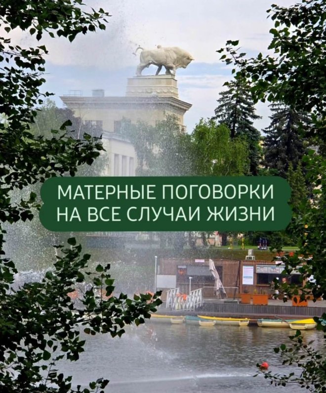 В соцсетях собрали подборку поговорок с расшифровками на все случаи жизни