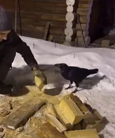 Я смогу, я помогу!⁠⁠