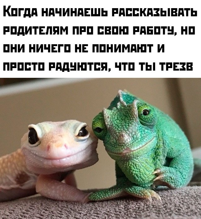 Приколы и картинки 09.07.2025