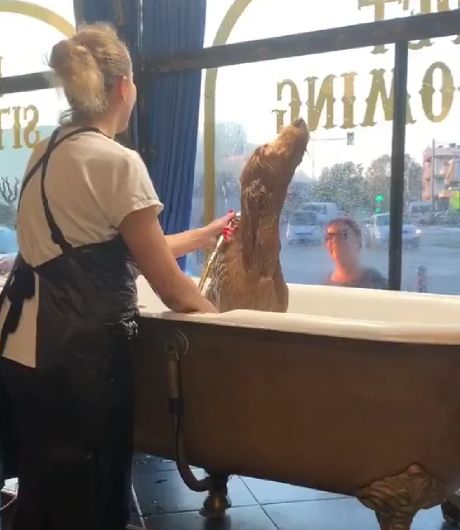 Кайф в чистом виде⁠⁠