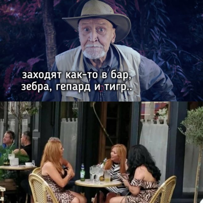 Подборка мемов