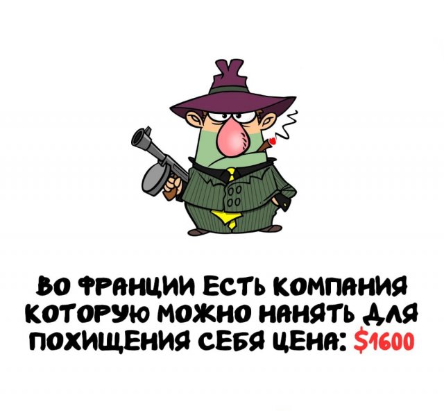 Интересные факты на все случаи жизни (15 фото)