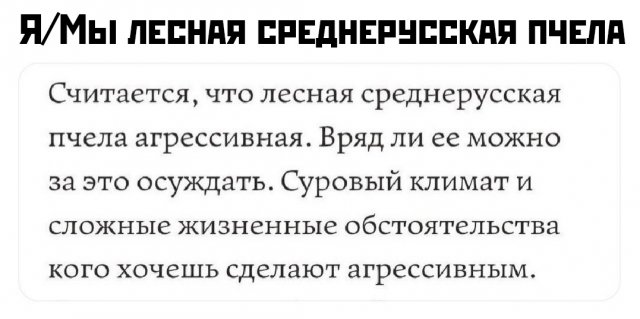 Приколы и картинки 25.07.2025