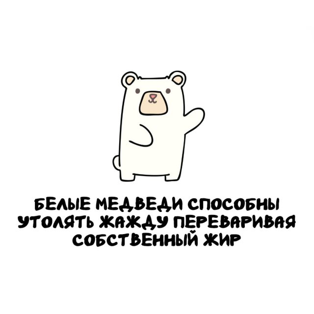 Интересные факты на все случаи жизни (15 фото)