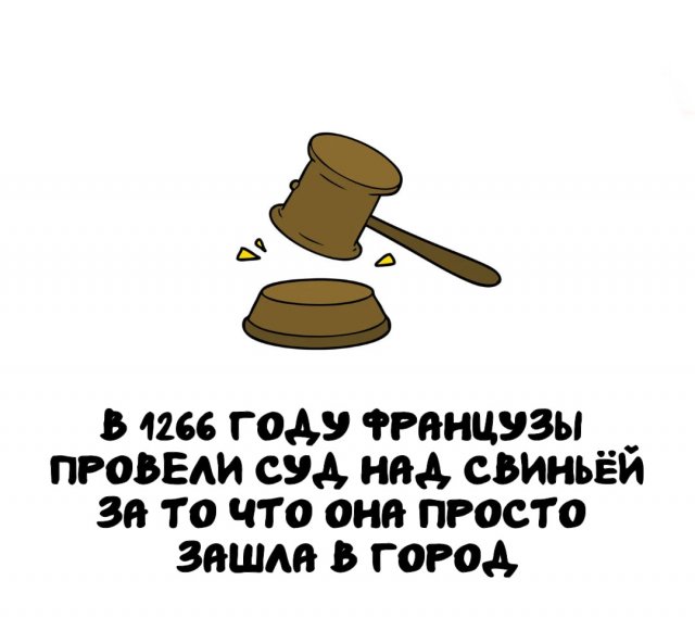 Интересные факты на все случаи жизни (15 фото)