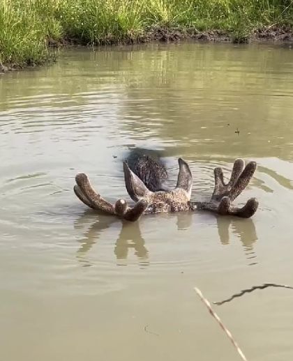 Уот так могём!⁠⁠