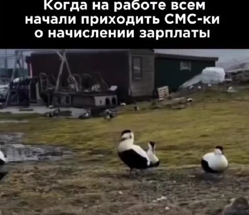 Любимый день⁠⁠