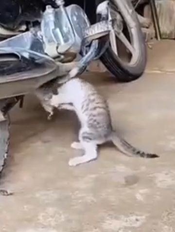 А ну вылезай оттуда⁠⁠