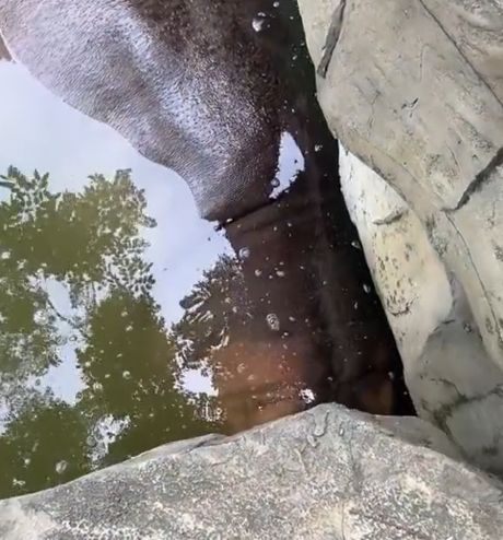 Положите фрукты во фруктоприемник...⁠⁠