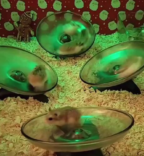 Ночные клубы⁠⁠