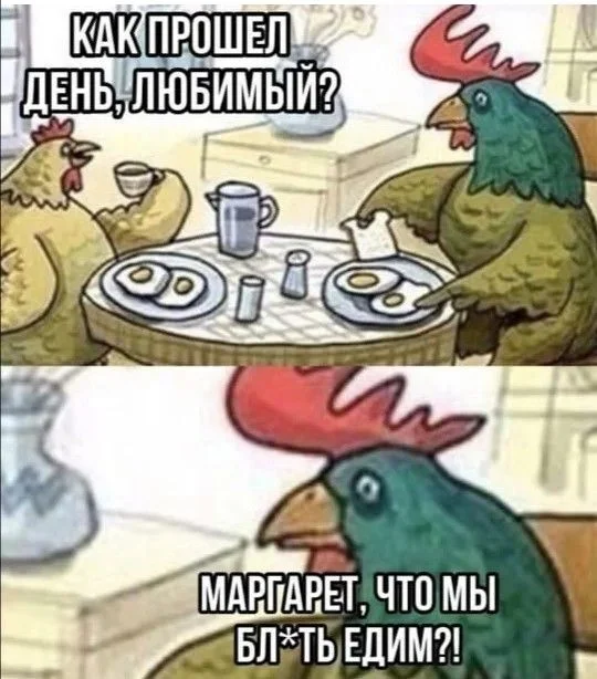 Голуби в шаурме⁠⁠