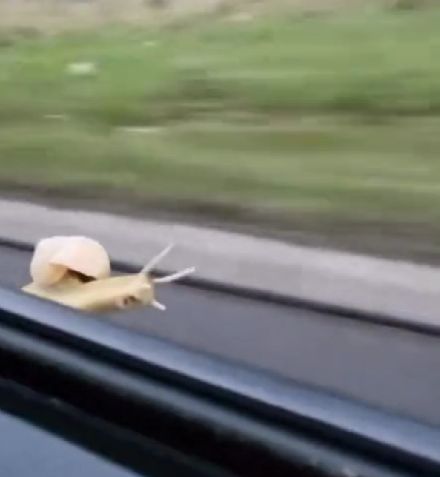 Я — скорость!⁠⁠
