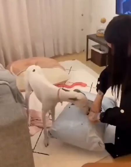 Пришла посылочка
