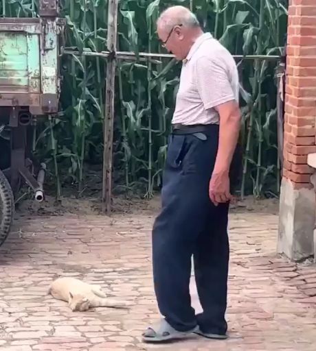 Дедушка вам не бабушка⁠⁠