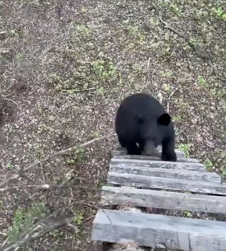 Сегодня не обедаешь