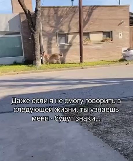 Будут знаки⁠⁠