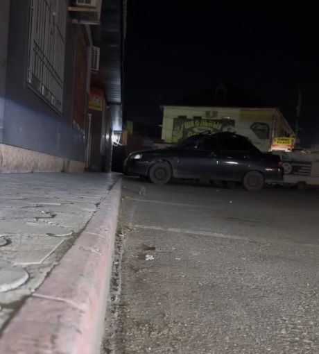В Дагестане ёжик со скотчем на лапке сам пришёл за помощью к человеку