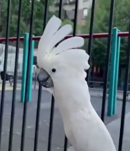 - Понял меня, псина?